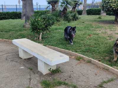 Non � per� divisa (come dovrebbe per la sicurezza dei cani pi� piccoli) in zone diverse a seconda della taglia dell�animale. Quando fu inaugurata c�era una fontana che non esiste pi�